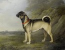 Thumbnail of Henry Bernard Chalon (British, 1770-1849) A favourite Pug bitch; A Pug dog, a pair (2) image 2