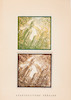 Thumbnail of CHERNIKHOV, YAKOV GEORGIEVICH. 1889-1951. image 9