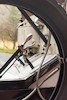 Thumbnail of 1910 White Model 0-0 5-Passenger TouringChassis no. 10347Engine no. 1070 image 94