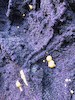 Thumbnail of One of The Largest Amethyst Geodes in the World image 40