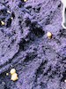 Thumbnail of One of The Largest Amethyst Geodes in the World image 41