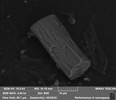 Thumbnail of A unique opportunity to own a NASA-verified piece of the Apollo-11 contingency sample. 5 Scanning Electron Microscope (SEM) aluminum sample stubs, each topped with approximately 10 mm diameter carbon tape containing Apollo Moon dust, image 6