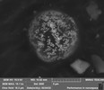 Thumbnail of A unique opportunity to own a NASA-verified piece of the Apollo-11 contingency sample. 5 Scanning Electron Microscope (SEM) aluminum sample stubs, each topped with approximately 10 mm diameter carbon tape containing Apollo Moon dust, image 4