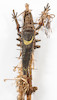 Thumbnail of A New Guinea reliquary figure lg. 82 in. image 3