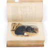 Thumbnail of Audubon, John James (1785-1851) and the Rev. John Bachman (1790-1874) The Quadrupeds of North America, New York V.G. Audubon, 1849, 1851, 1854. image 3