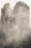 Thumbnail of MICHAEL CHERNEY (QIU MAI, 1969-) Five Peaks Eastern, Western, Southern, Central, Northern image 5