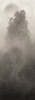 Thumbnail of MICHAEL CHERNEY (QIU MAI, 1969-) Five Peaks Eastern, Western, Southern, Central, Northern image 2