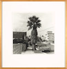 Thumbnail of Edward Ruscha (born 1937); Palm Tree 1; image 2