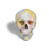 Thumbnail of DAMIEN HIRST (B. 1965) Untitled Spin Skull Gift for Samuel, 2010 image 1
