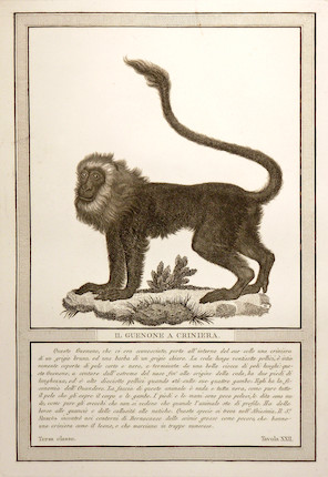 Bonhams JACOB, NICHOLAS HENRI.