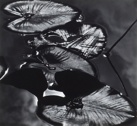 Bonhams : Brett Weston (American, 1911-1993); Selected Images, from ...