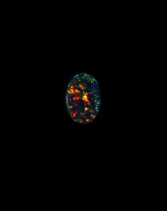 Classic Black Opal--The Black Prince image 2