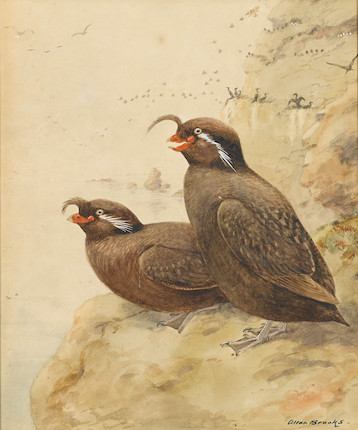 BROOKS, ALLAN CYRIL. 1869-1946. 2 original watercolors on paper, with touches in white image 1