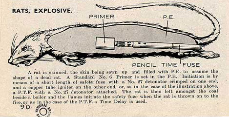 Special Operations Executive  An explosive dummy rat. English, 1941. image 2