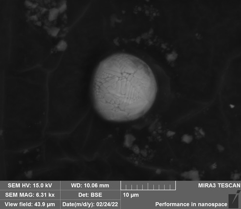 A unique opportunity to own a NASA-verified piece of the Apollo-11 contingency sample. 5 Scanning Electron Microscope (SEM) aluminum sample stubs, each topped with approximately 10 mm diameter carbon tape containing Apollo Moon dust, image 7