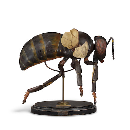 A FRENCH POLYCHROME CARVED WOOD ANATOMICAL MODEL OF A HONEY BEE Émile Deyrolle (1838-1917), late 19th century, on ebonized wood stand with paper labelheight 17 1/2in (44.4cm) image 2