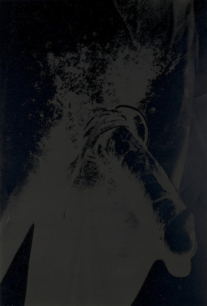 Andy Warhol (1928-1987) Torso, 1977 (Feldman & Schellmann IIA.2b) image 1