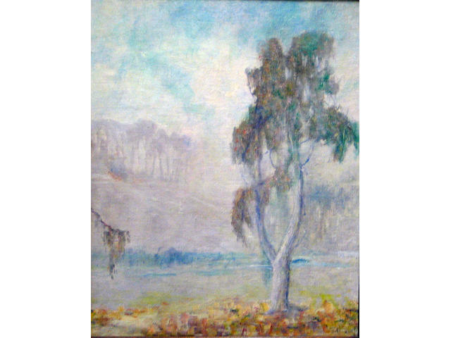William Posey Silva (American 1859-1948) Eucalyptus in fog (No.38) 20 x 16in