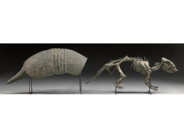 Giant Armadillo