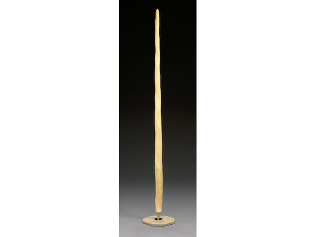 Rare Narwhal Tusk