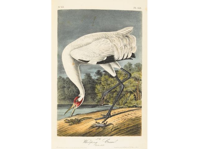 AUDUBON, JOHN JAMES.  1785-1851.