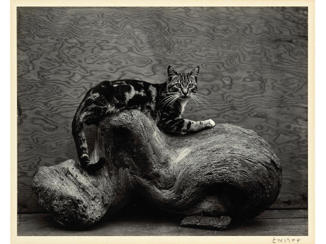 Edward Weston (American, 1886-1958); Johnny;
