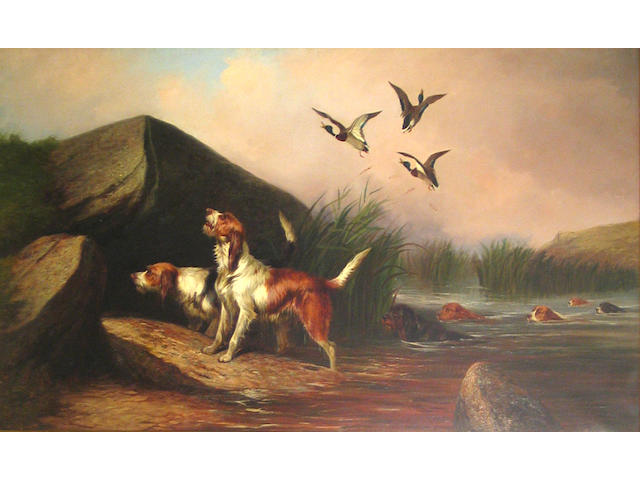 Colin Graeme (British, 1858-1910) Otter hounds and ducks 30 x 50in