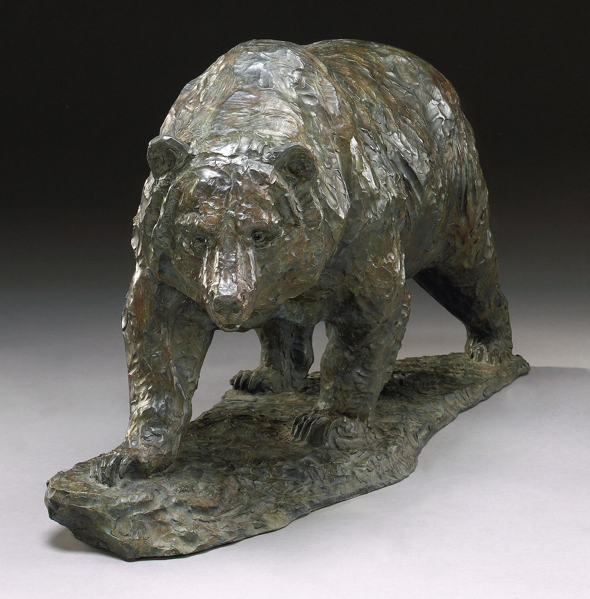 Bear
