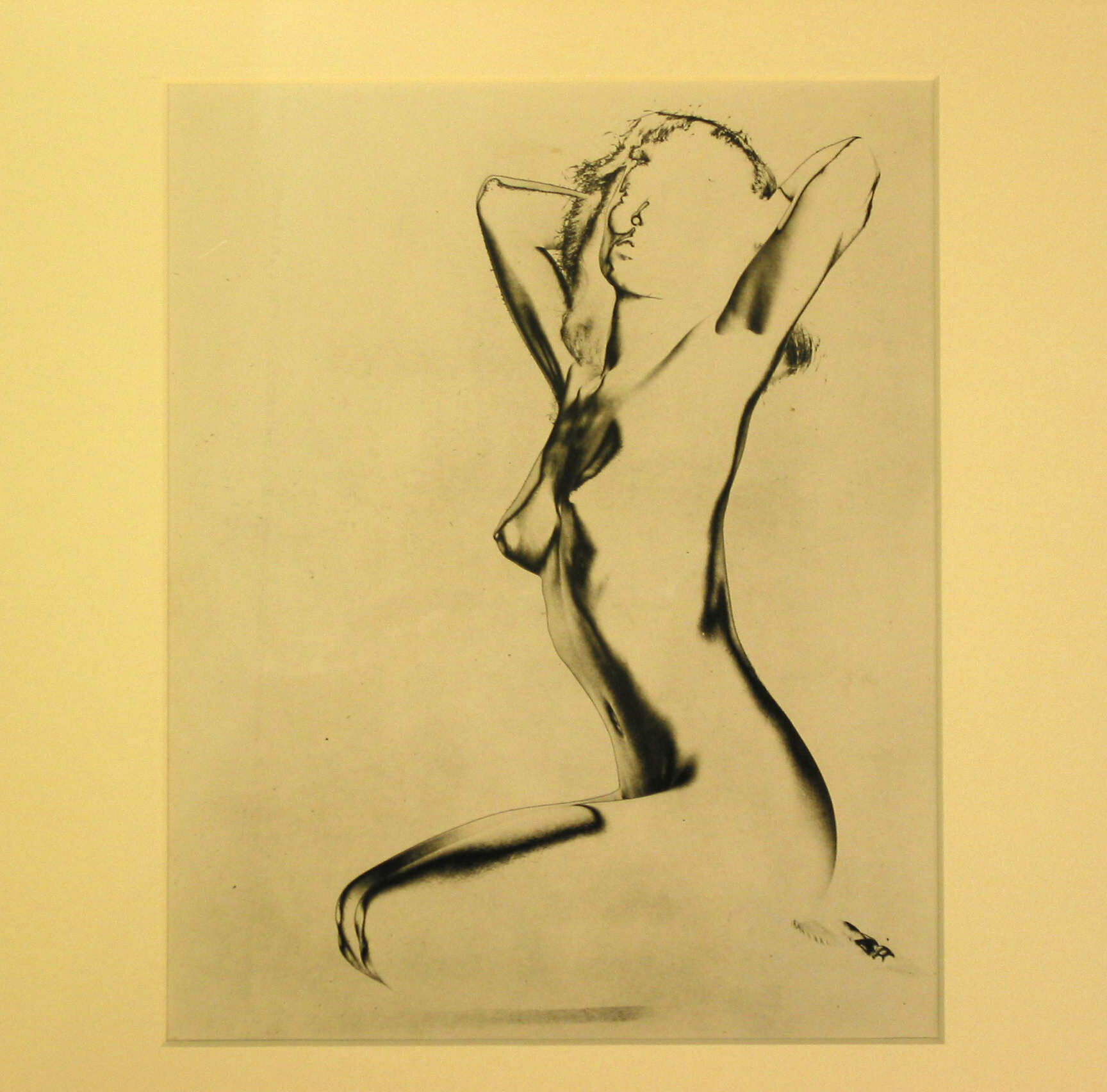 Nude Studies