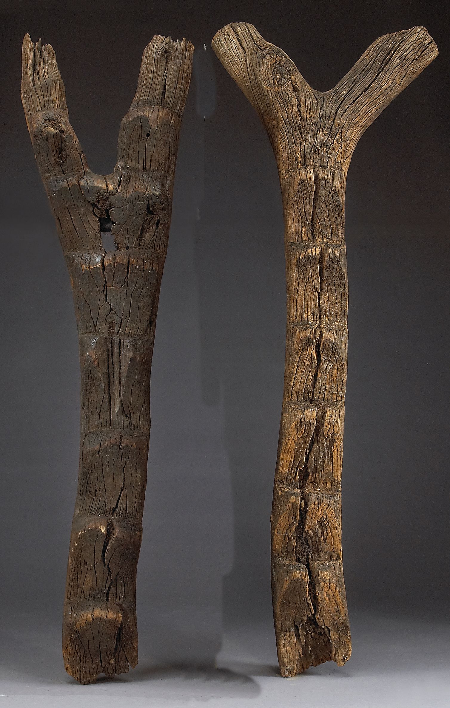 Two Dogon ladders