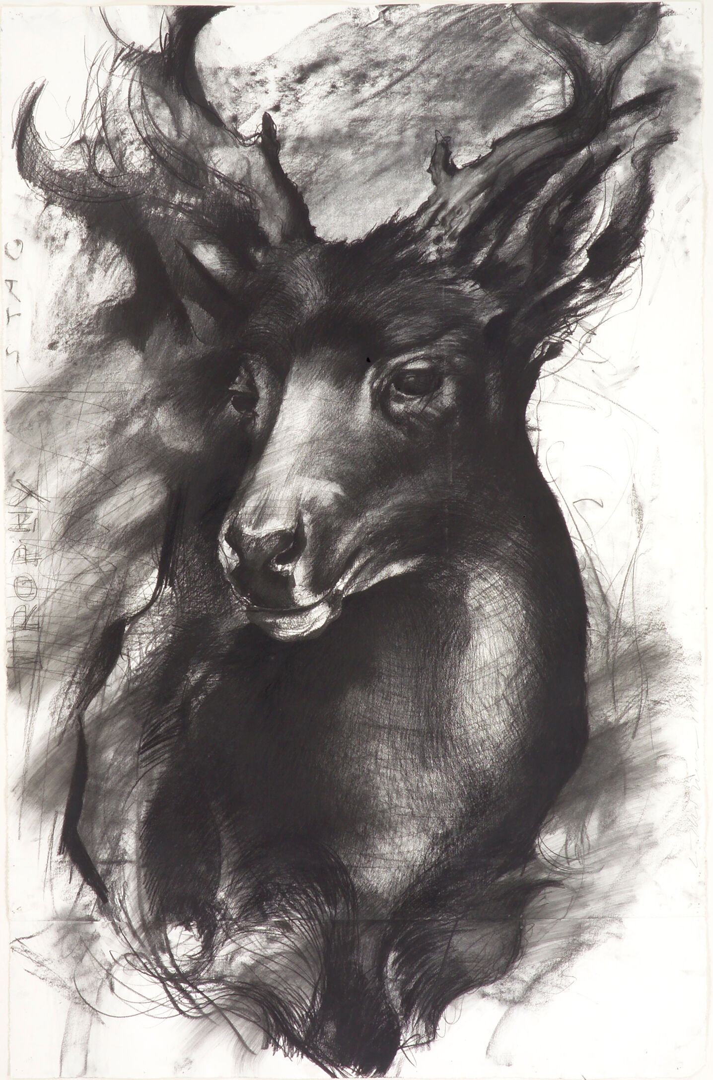 Trophy Stag