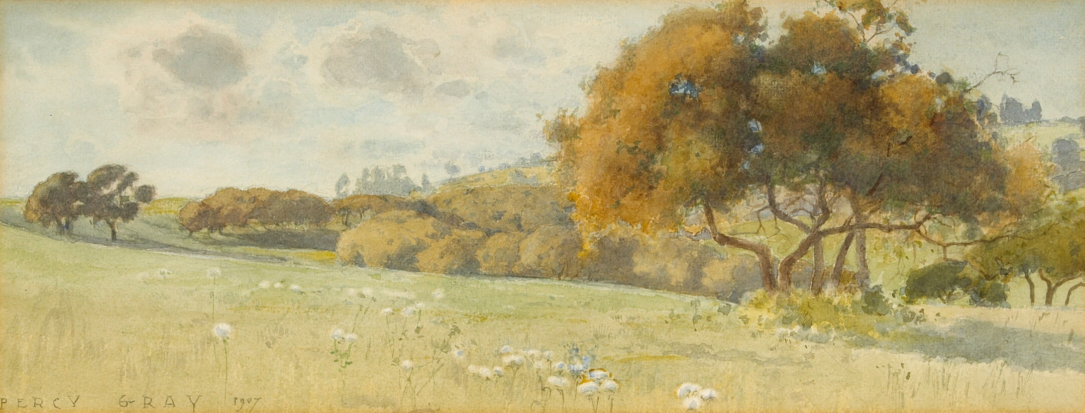 Sunlit Meadow
