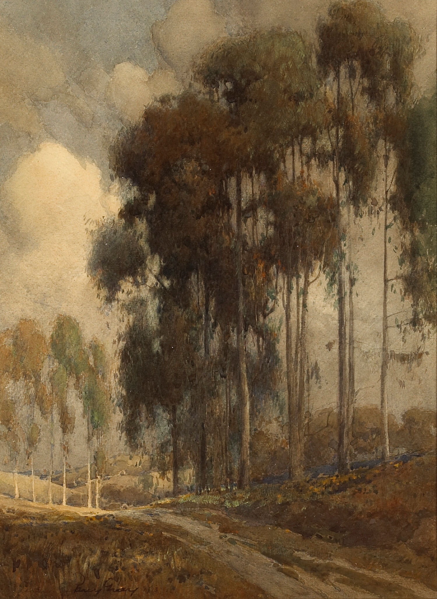 A Path through the Eucalyptus Trees