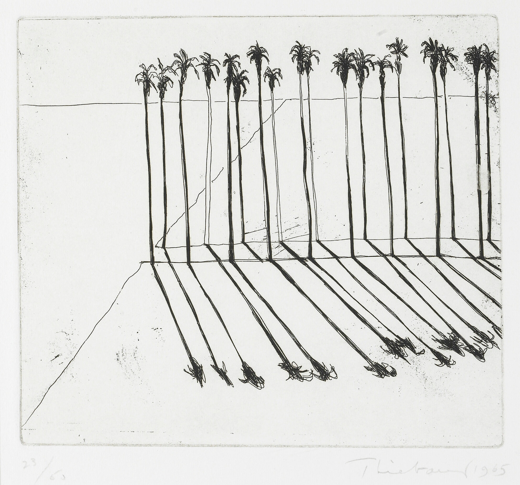 Palms