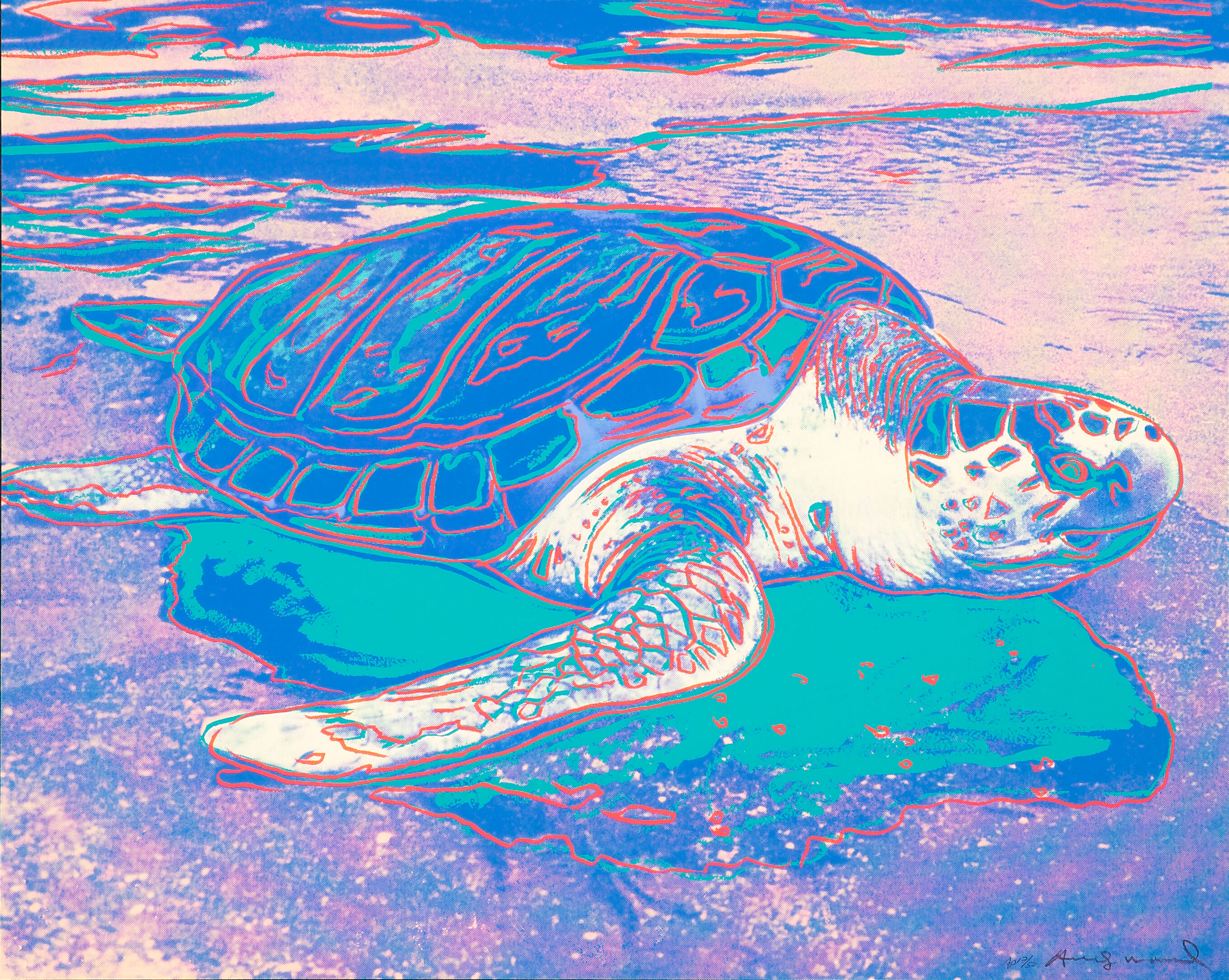 Turtle