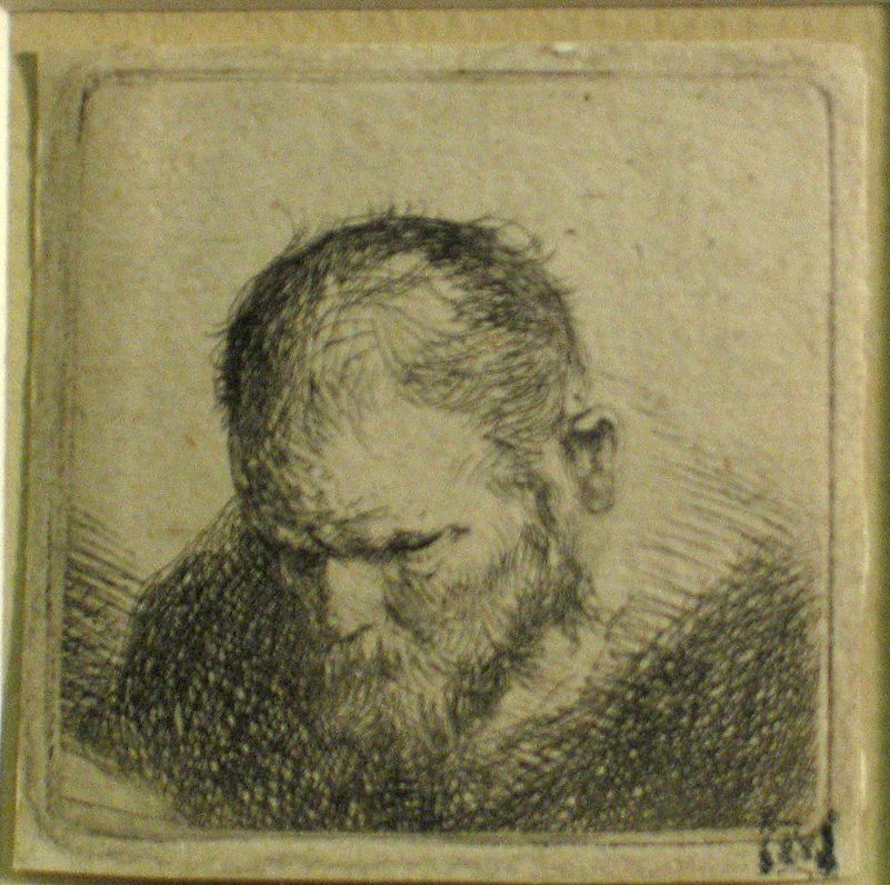 A Bearded Man Looking Down