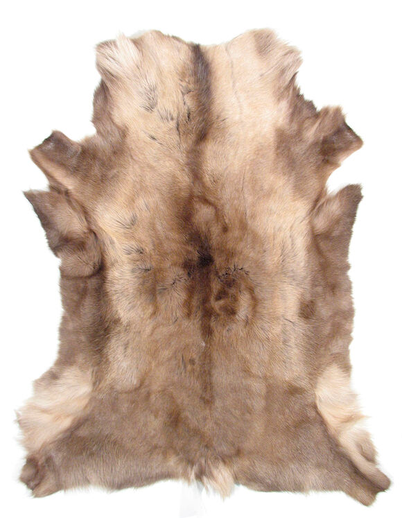Bonhams : A Caribou skin rug