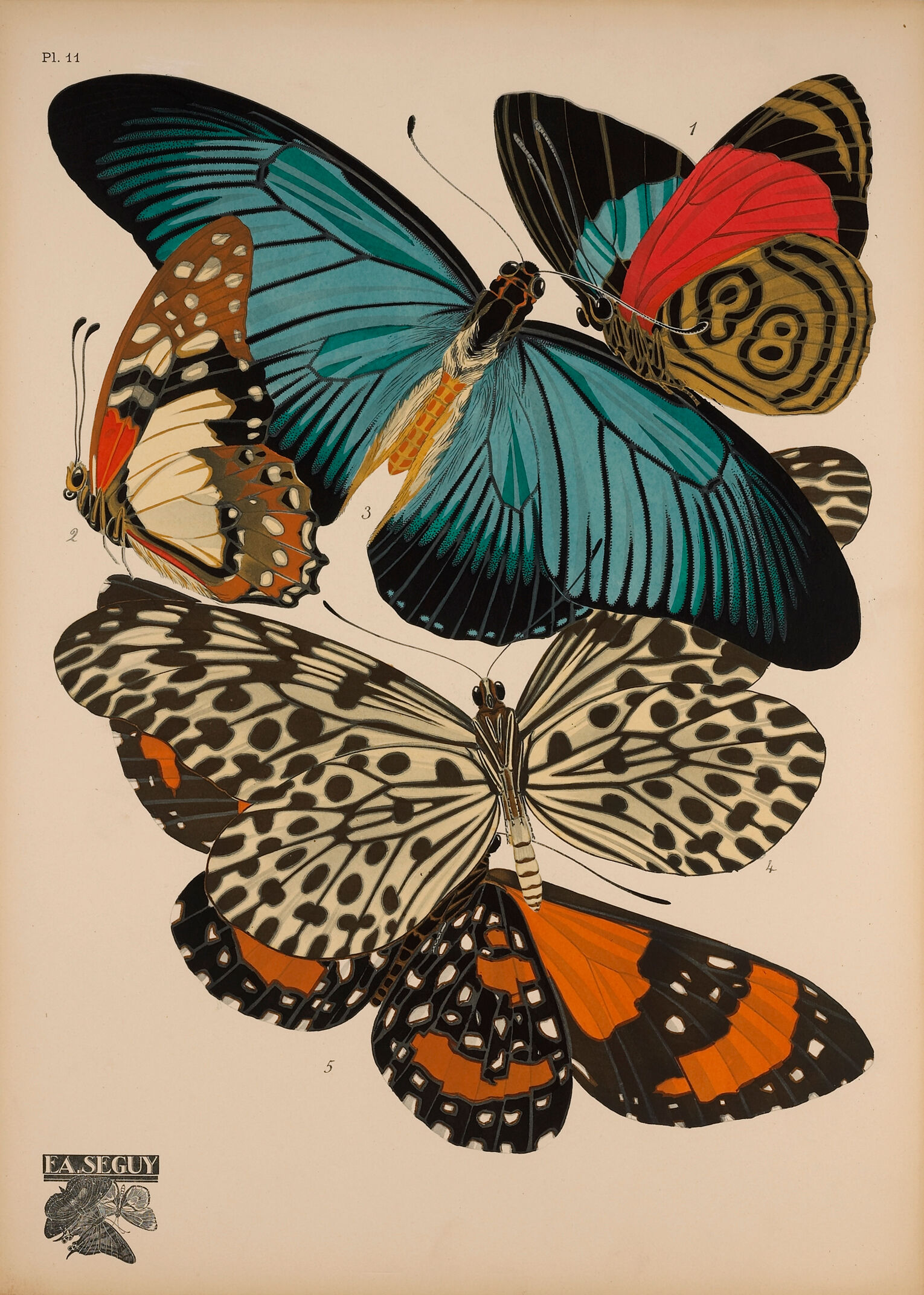 Papillons