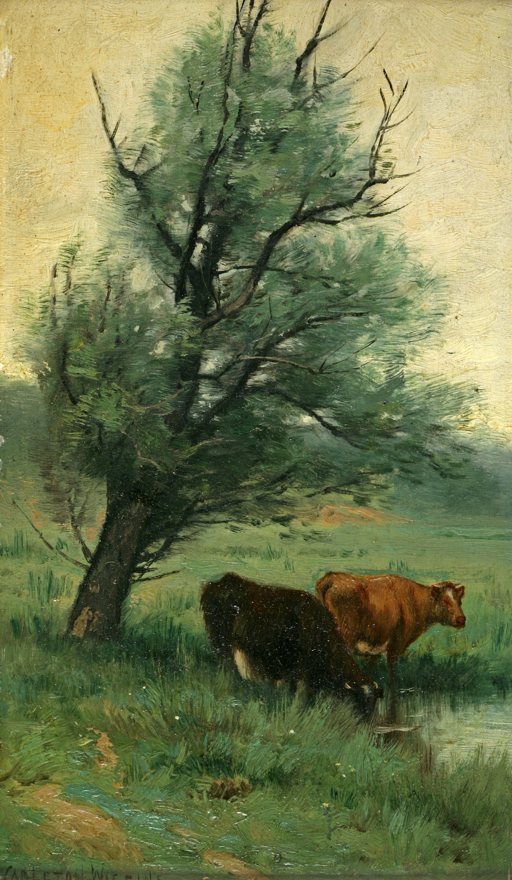 Cows Under A Tree