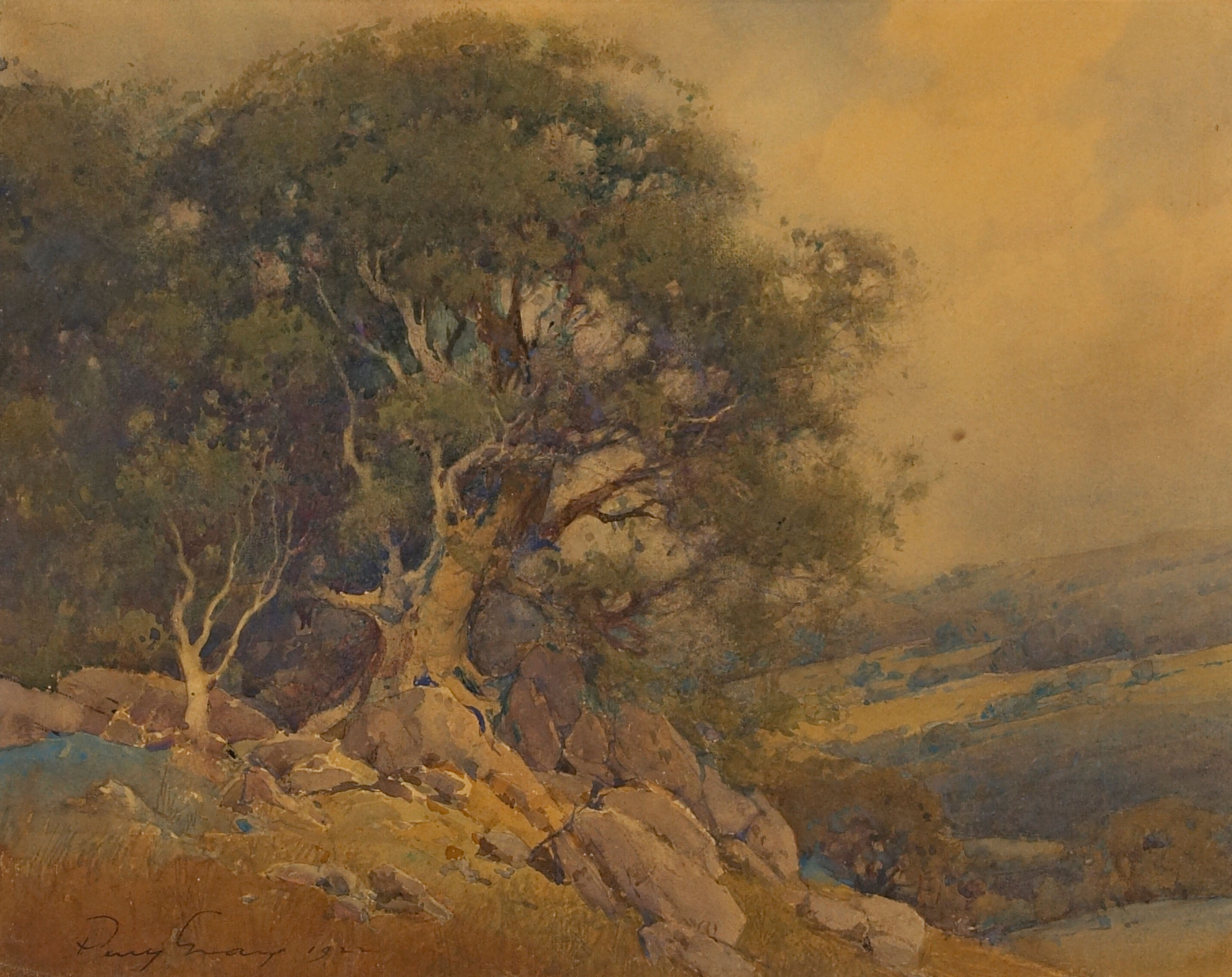 Hillside Oak