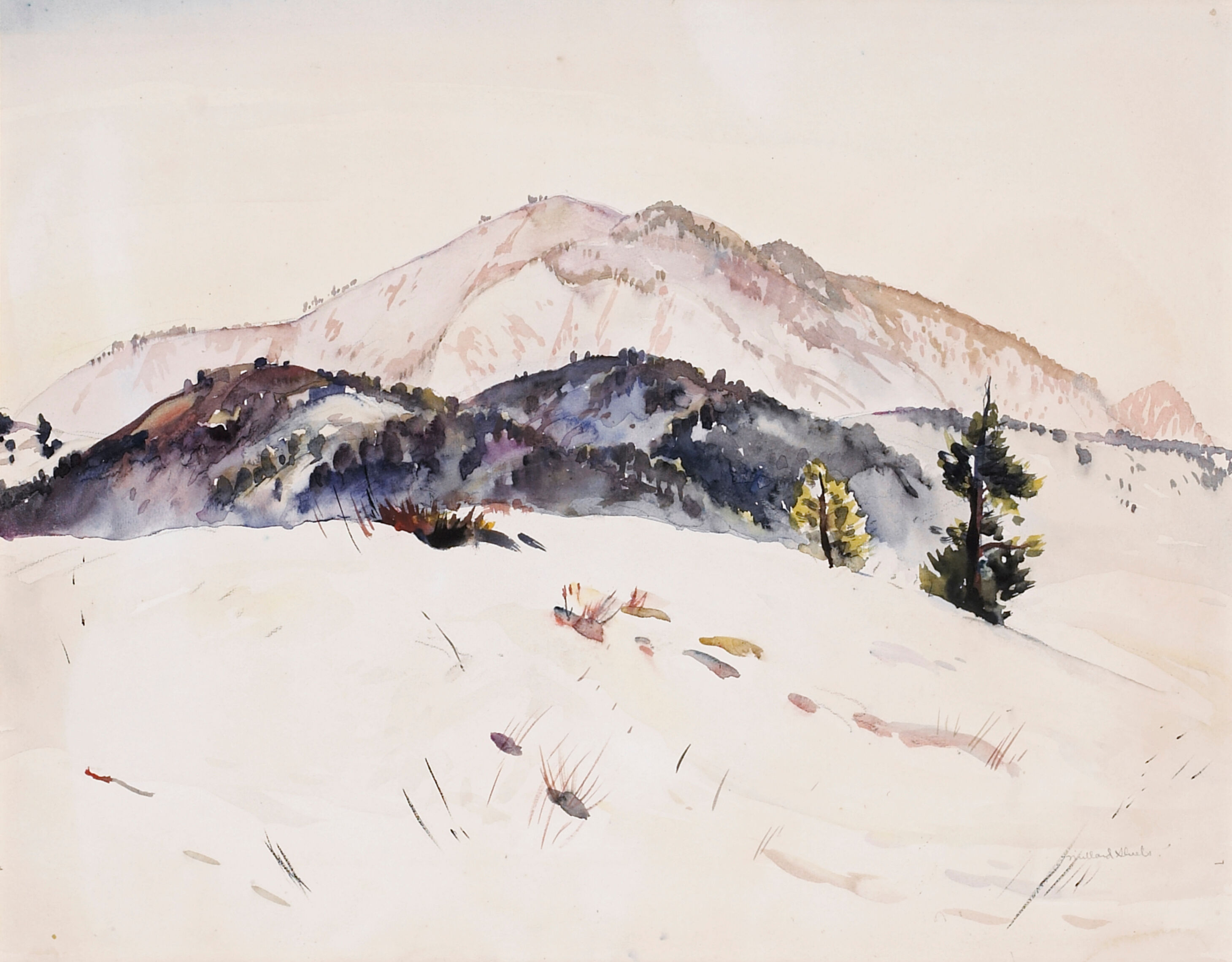 Summer Hills