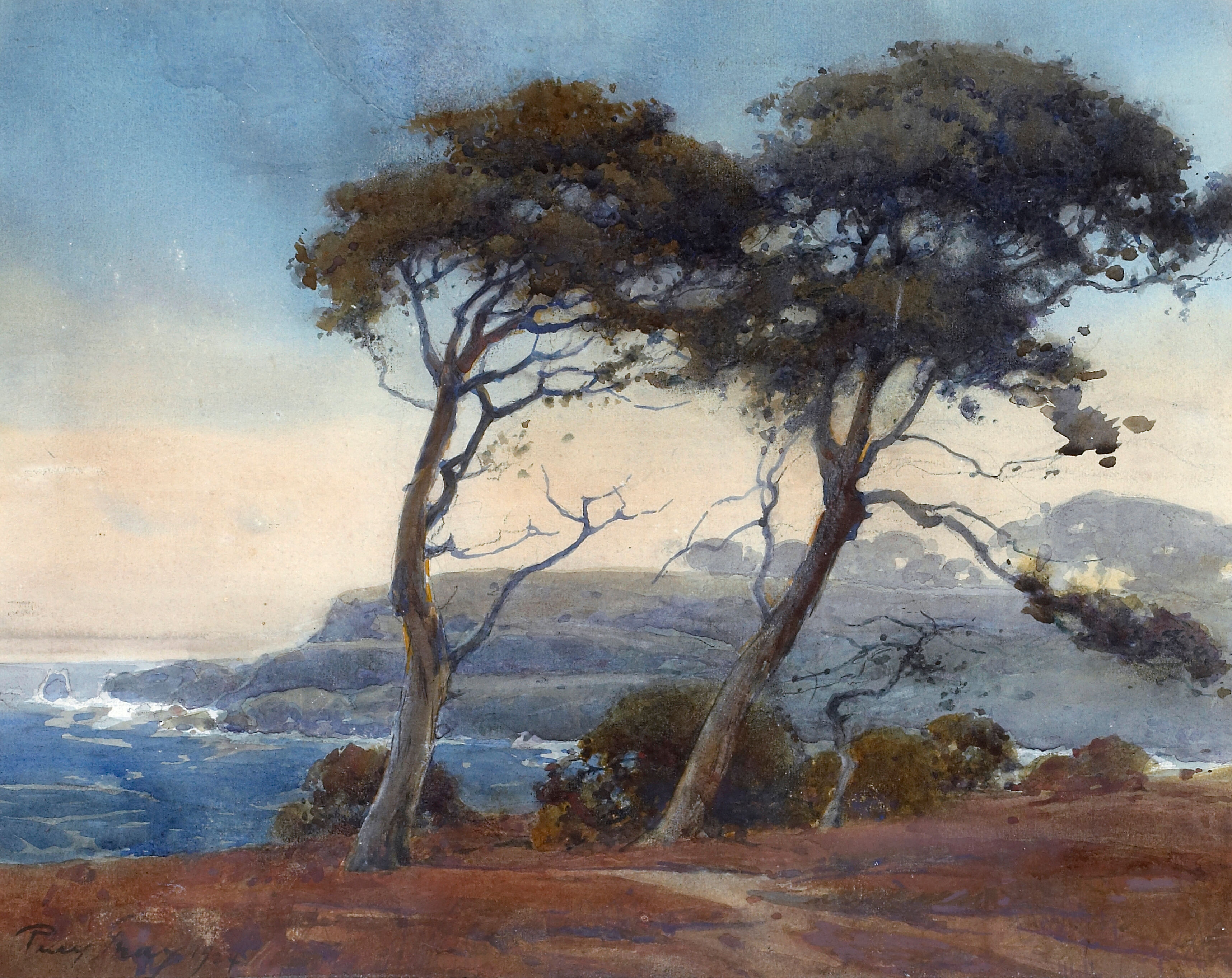 Windswept Trees