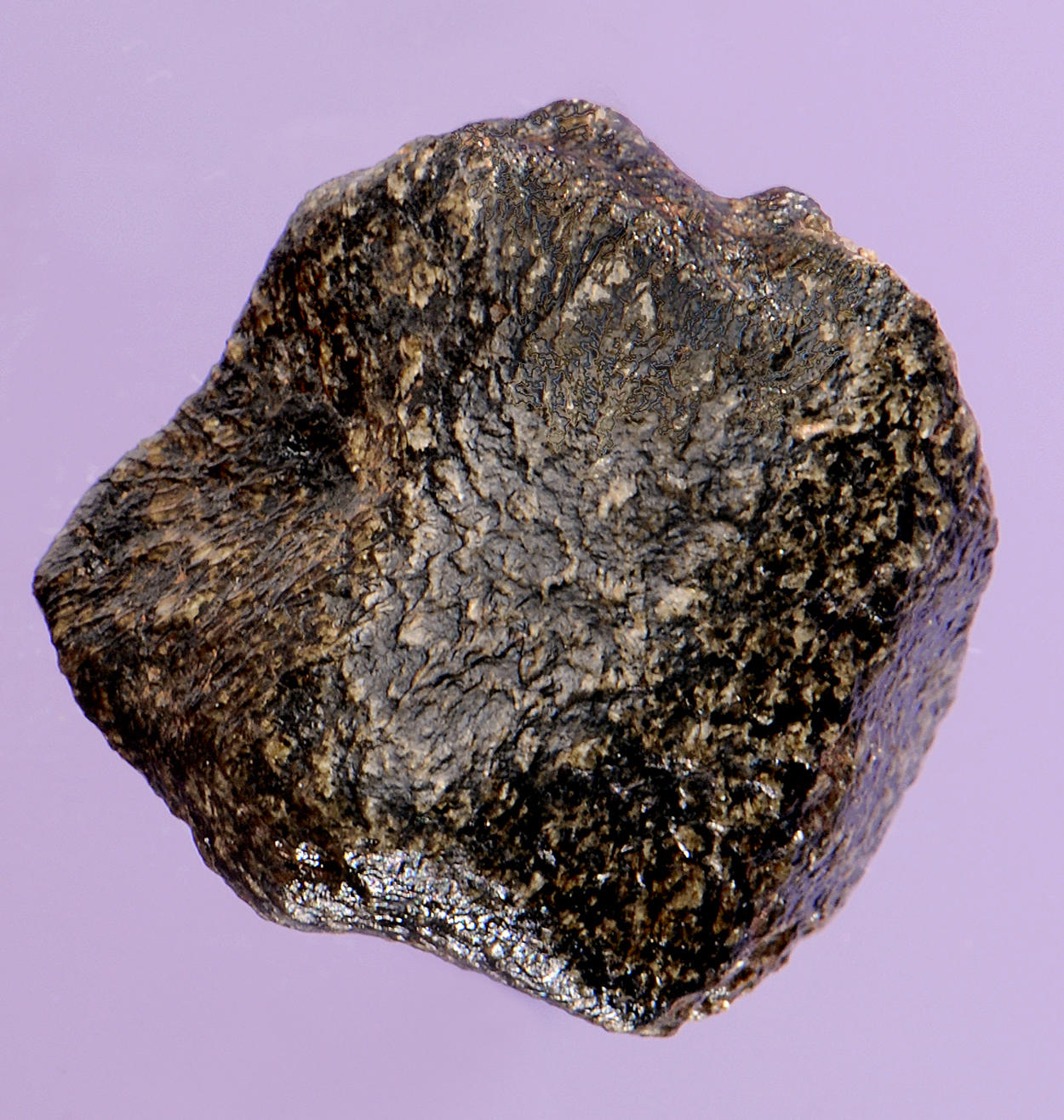 mars meteorite