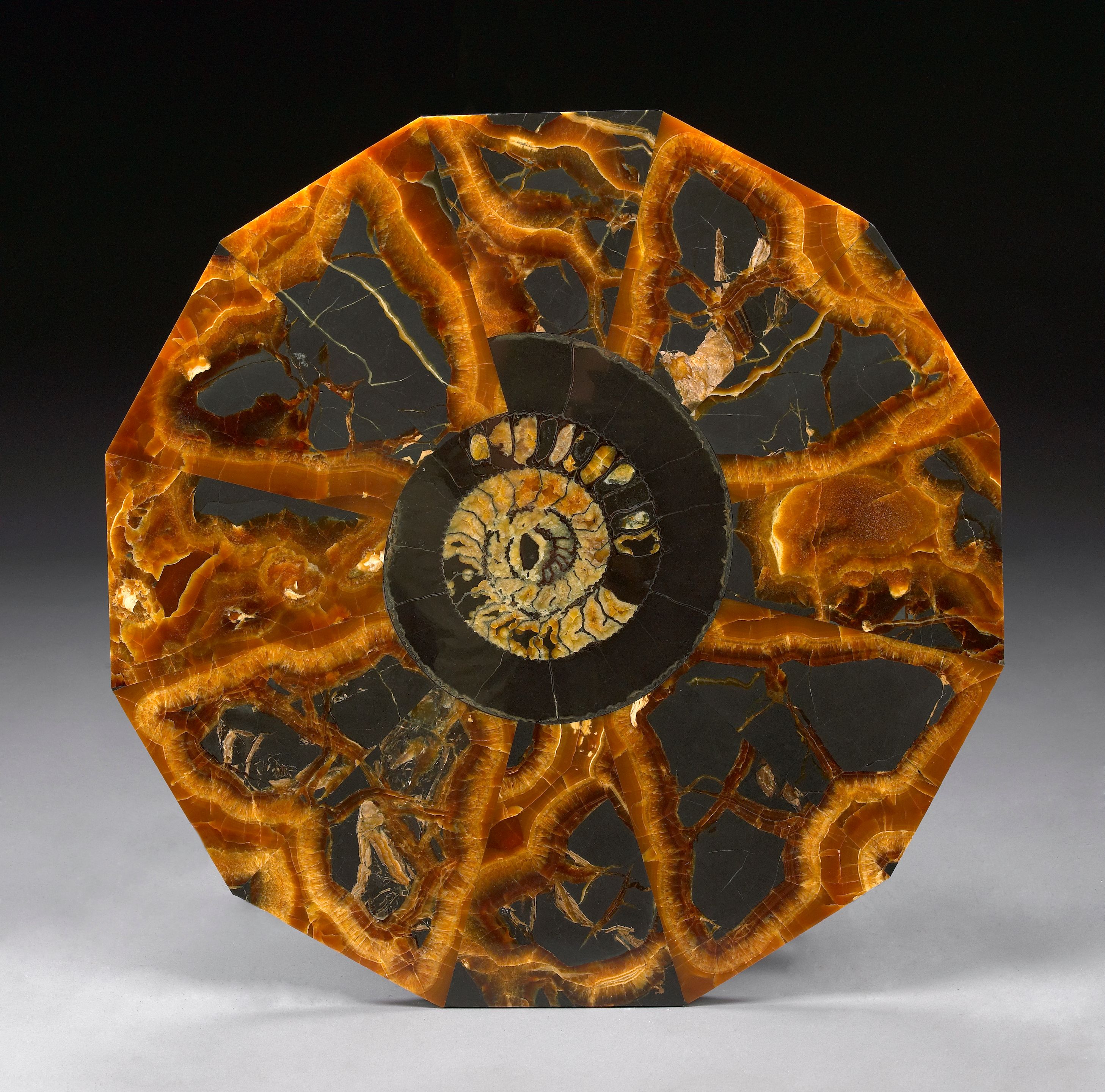 Decorative Ammonite Tabletop