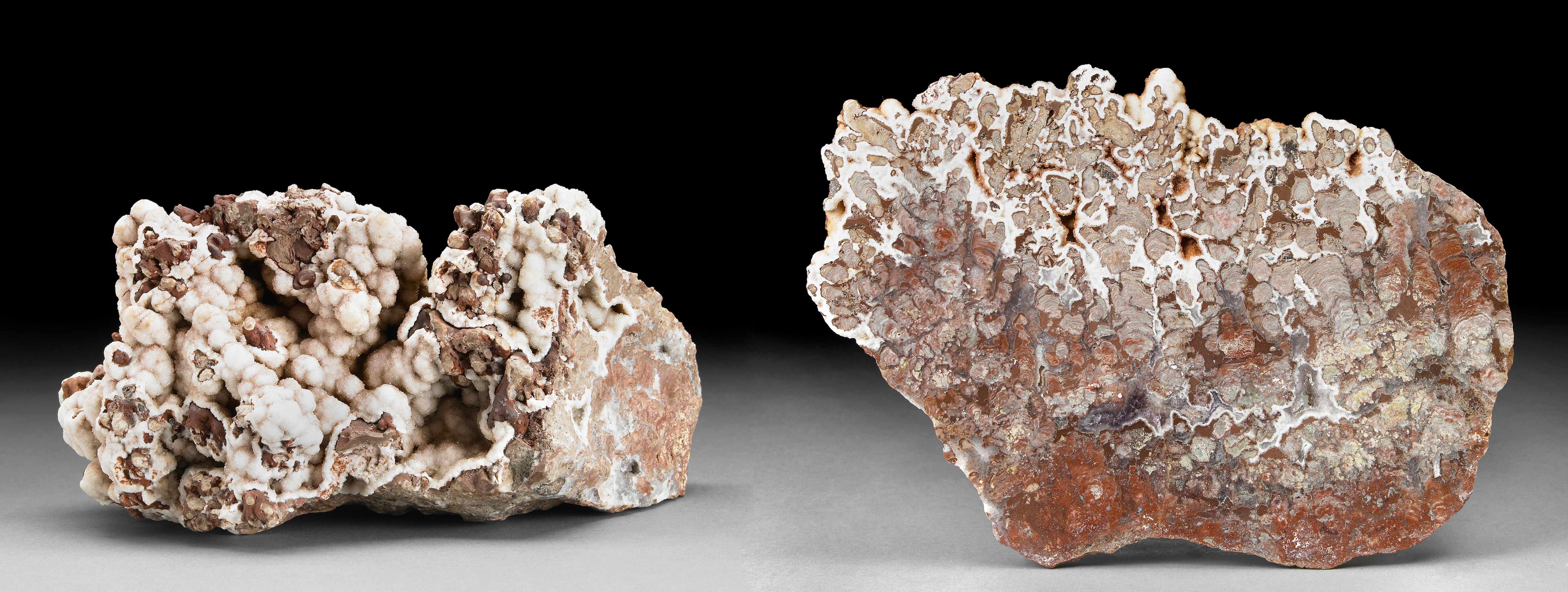 Stromatolite Rough and Slice
