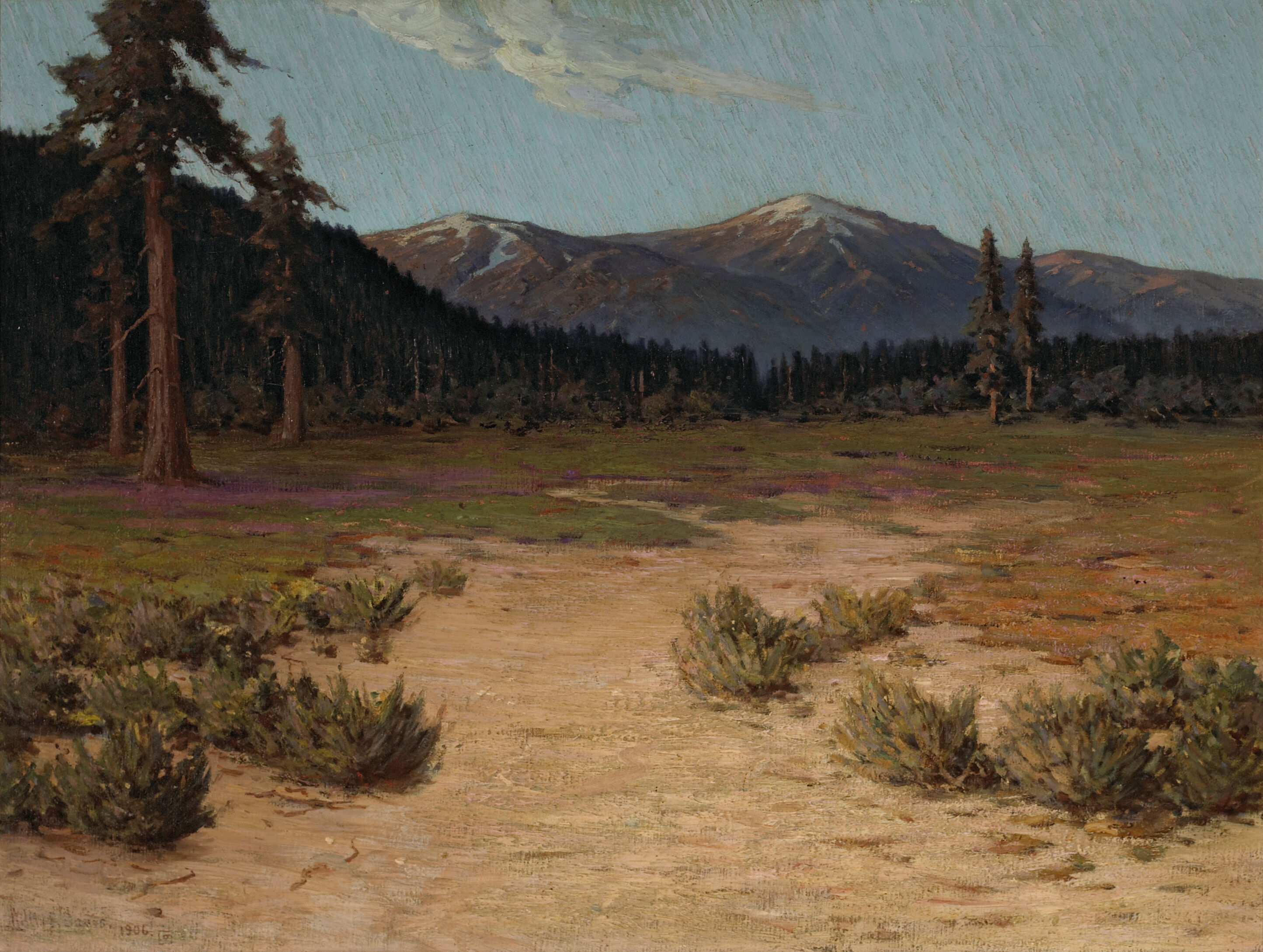 A Sunlit Path with Mountains Beyond