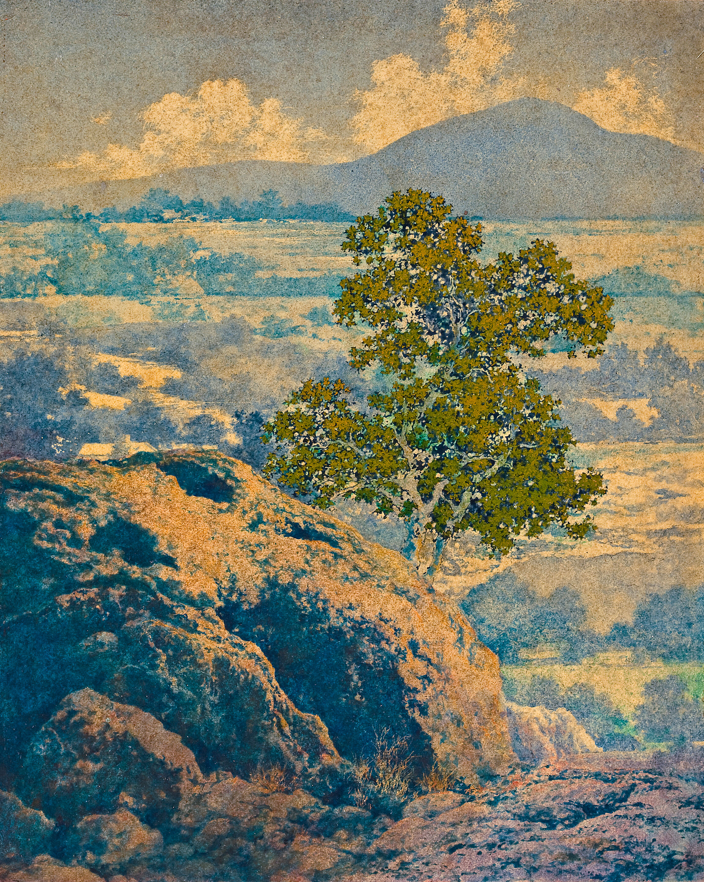 Landscape