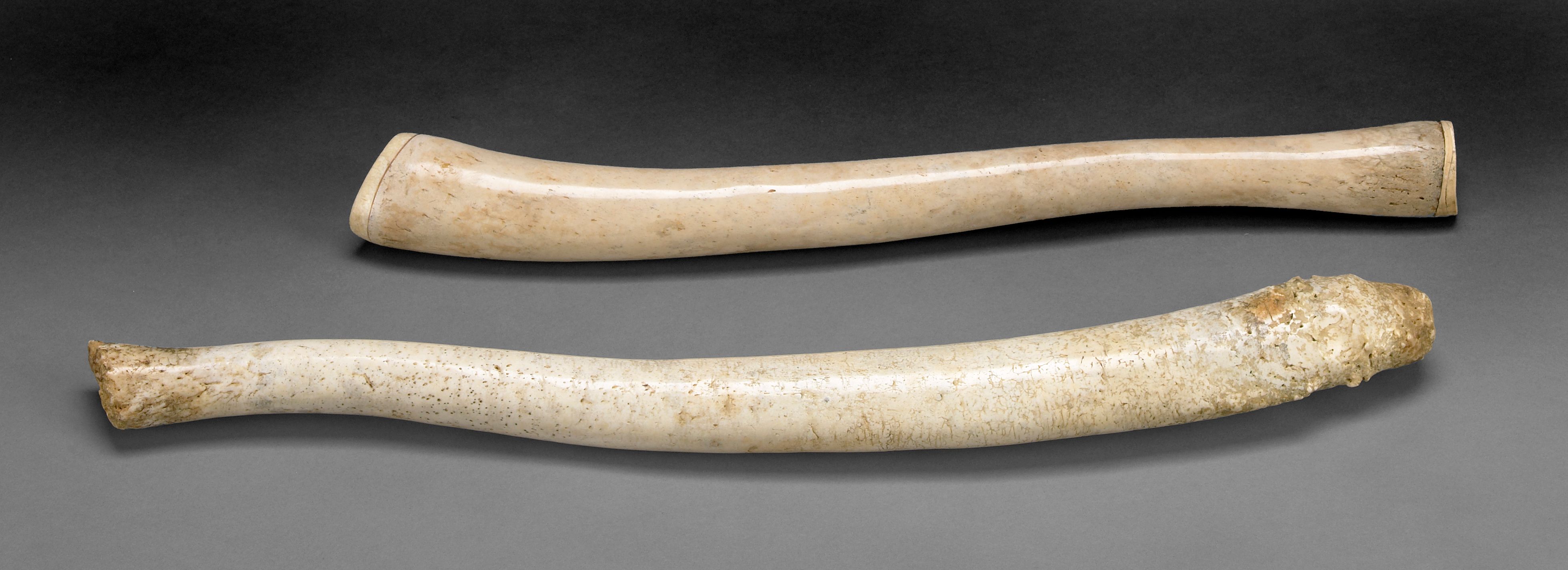 Two Walrus Oosiks