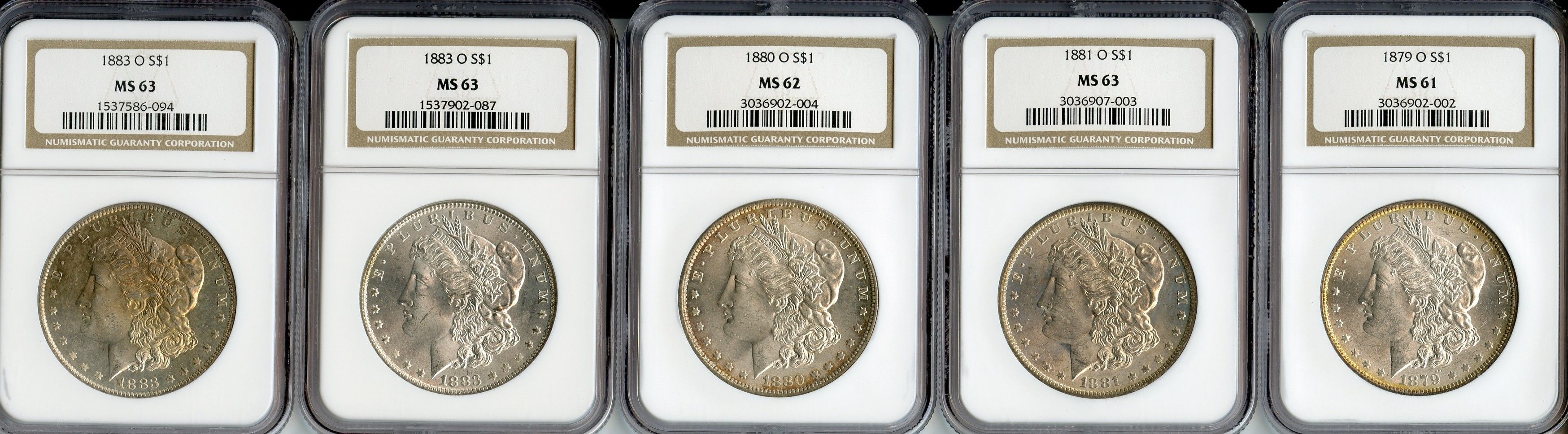 Morgan Dollars (5)