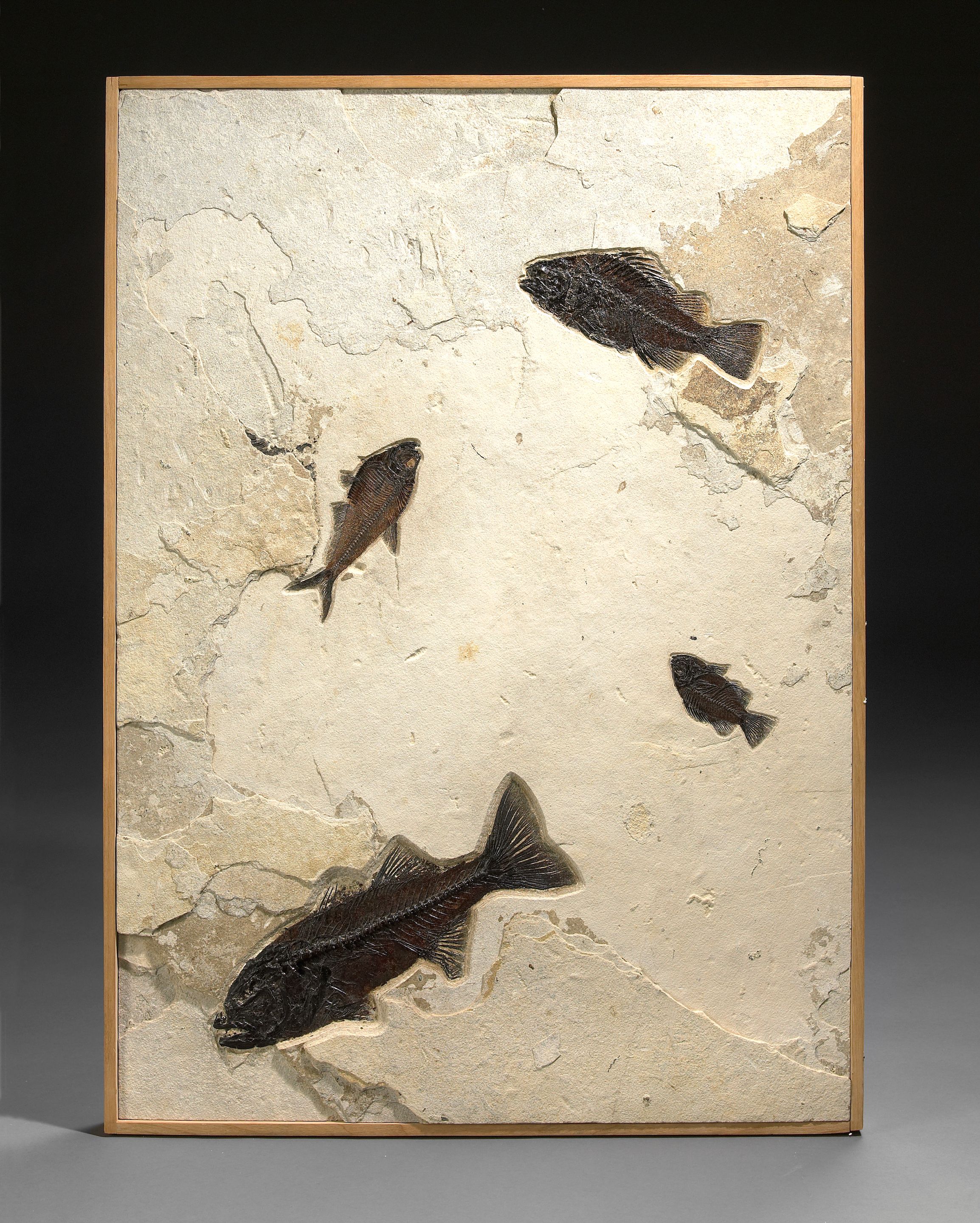 Four Fish Mural